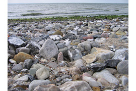 Steine ​​am Strand - Archäologische Sprechstunde zeiTTor