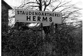 Firmenschild der Eutiner Staudengärtnerei Herms
